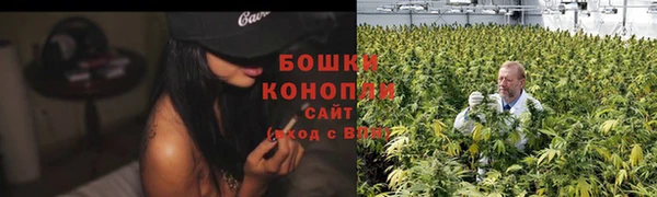 стаф Каменка