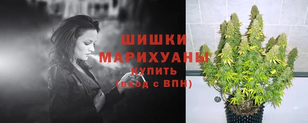 мет Каменногорск