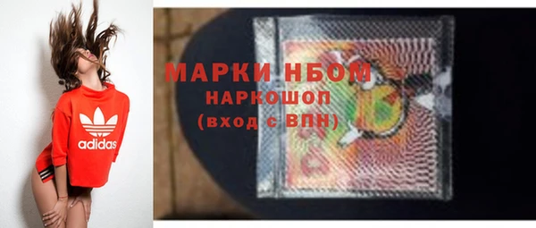 стаф Каменка