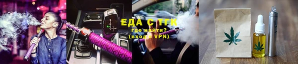 стаф Каменка