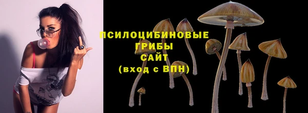 мет Каменногорск
