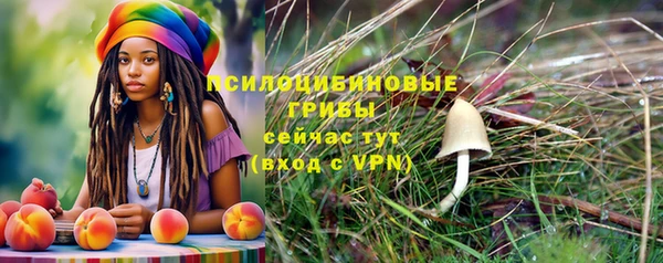 apvp Каменск-Шахтинский