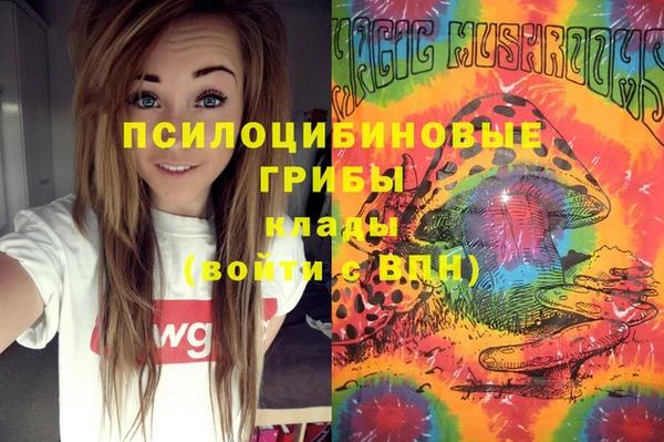 герыч Шарыпово