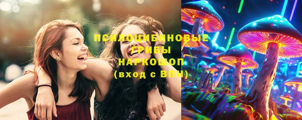 мдпв Чердынь