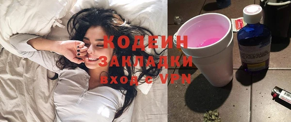 стаф Каменка