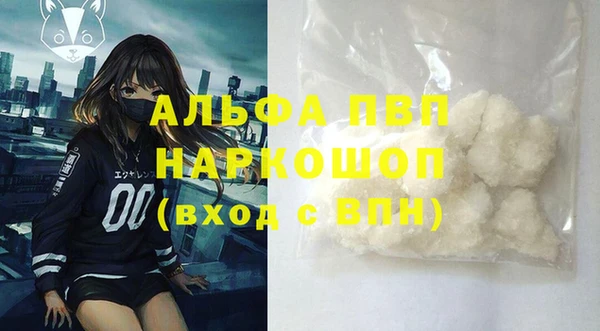 стаф Каменка