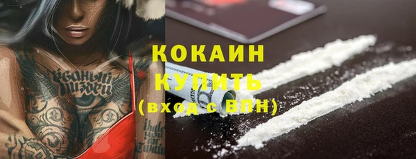apvp Чекалин